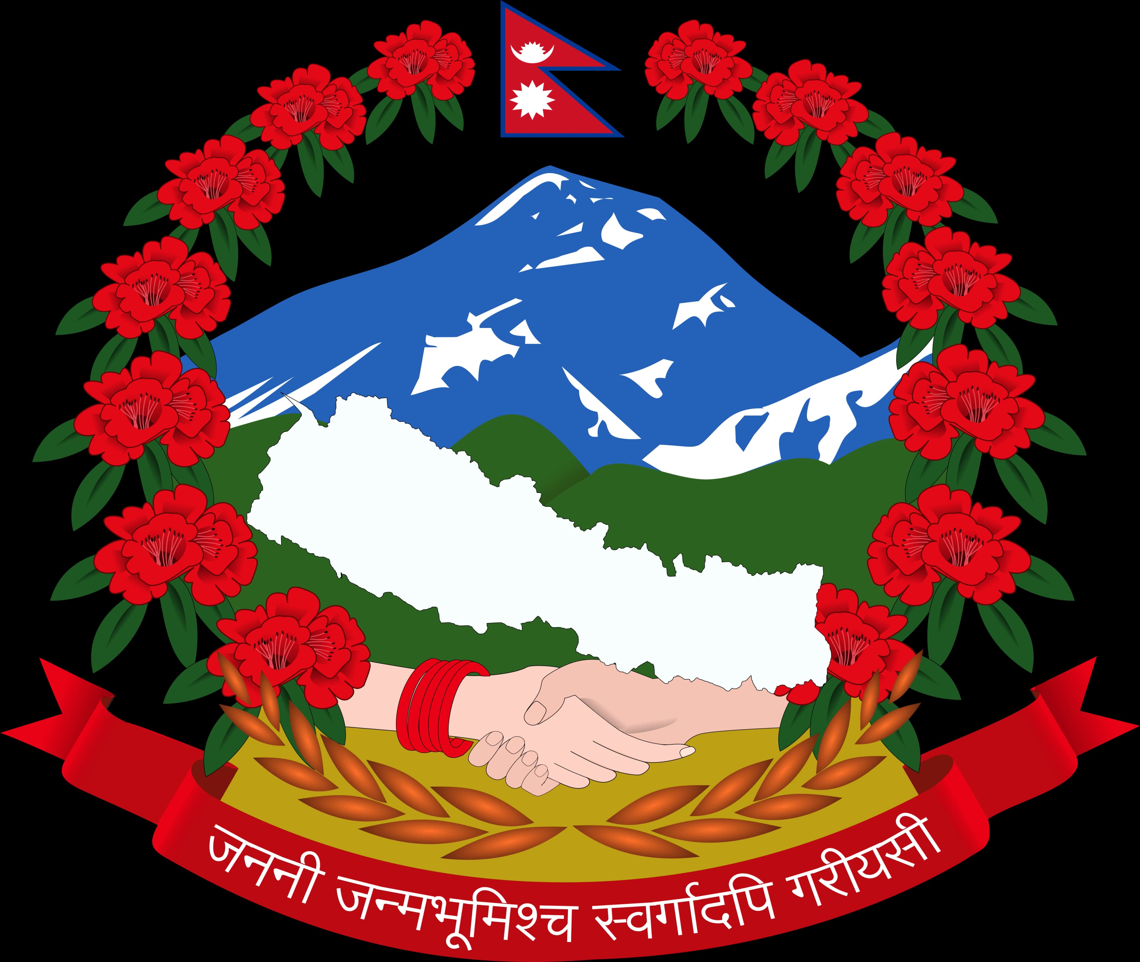 Ministry of Health logo