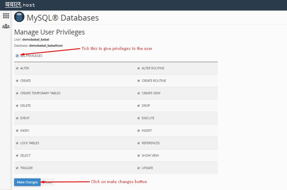 Giving Privileges to User of the Database